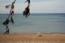 Cyprus 7